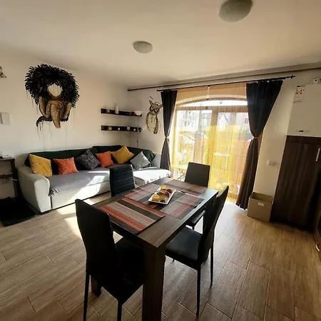 Apartment Soccec Art Brasov